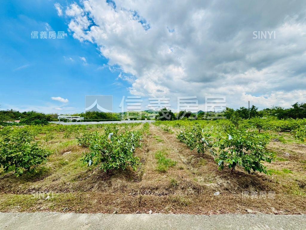 燕巢大地坪優質農地房屋室內格局與周邊環境