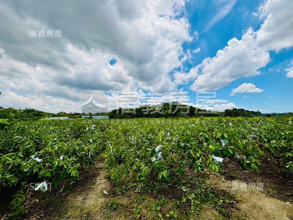 燕巢大地坪優質農地房屋室內格局與周邊環境