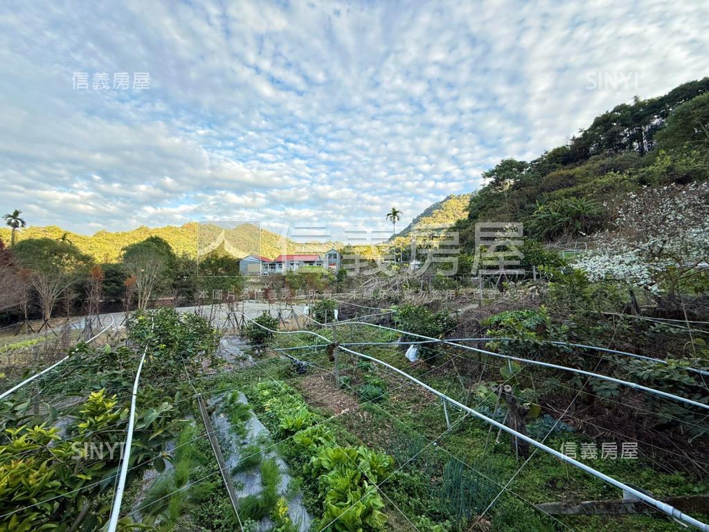 新社鳥語花香美地房屋室內格局與周邊環境