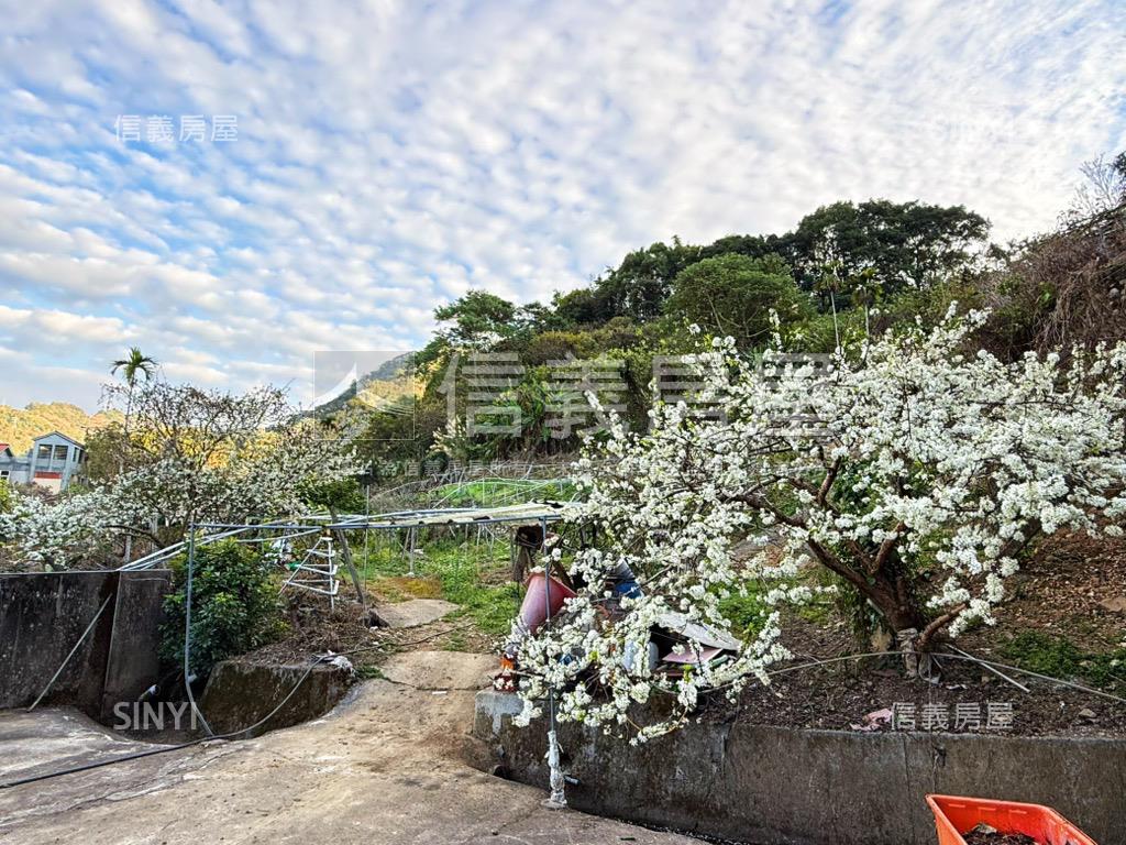 新社鳥語花香美地房屋室內格局與周邊環境