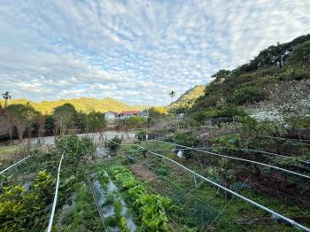 新社鳥語花香美地
