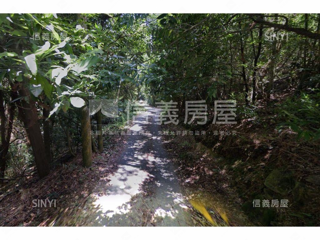 新社山坡農牧土地房屋室內格局與周邊環境