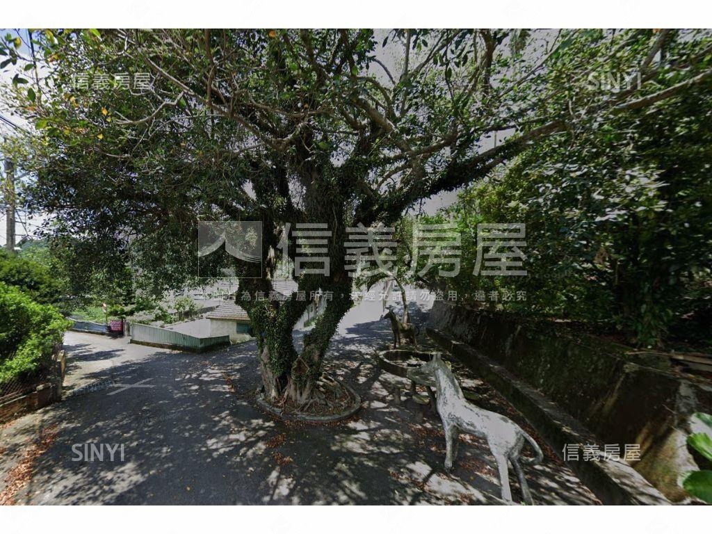 新社山坡農牧土地房屋室內格局與周邊環境