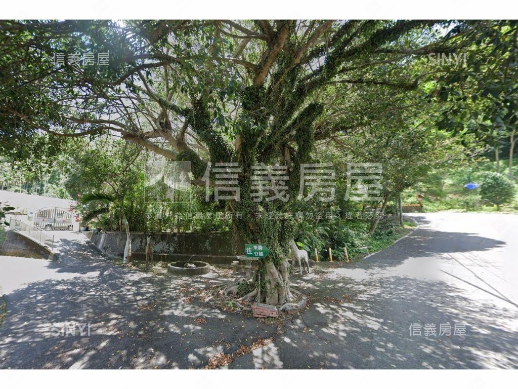 新社山坡農牧土地房屋室內格局與周邊環境