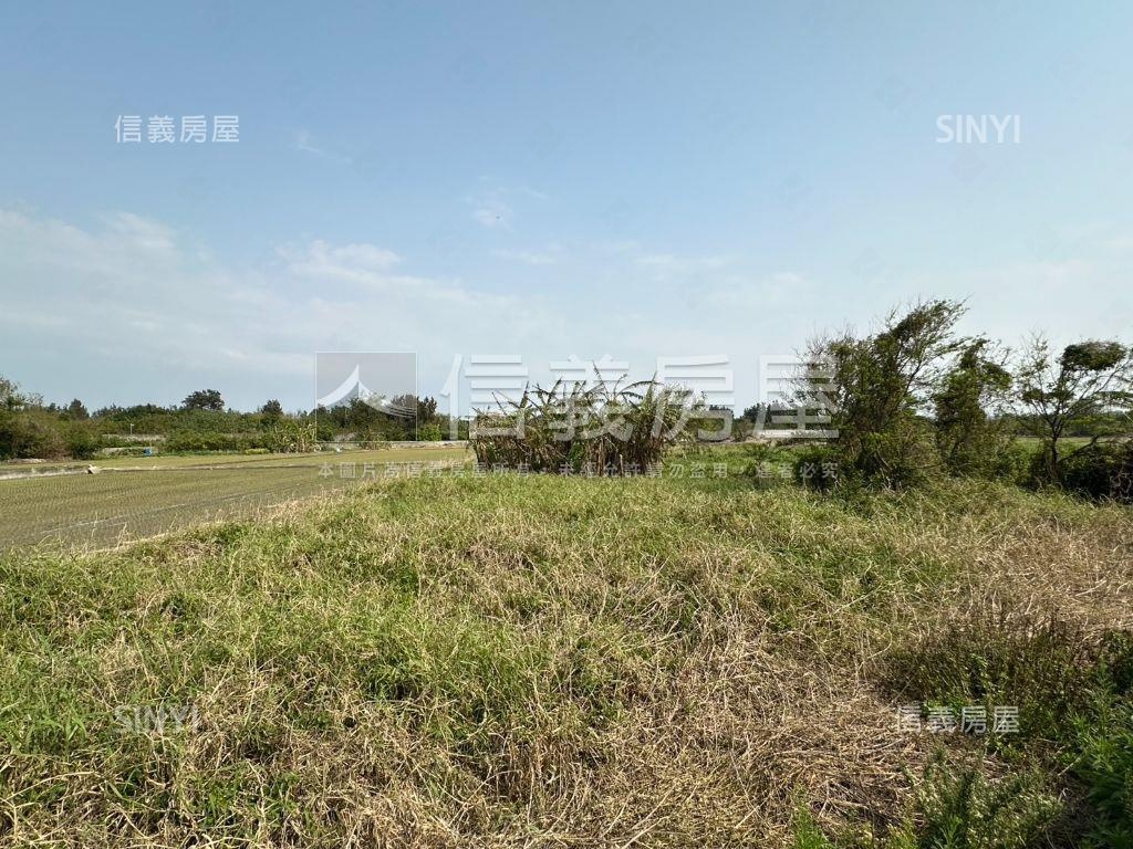 東濱臨路農地－７房屋室內格局與周邊環境