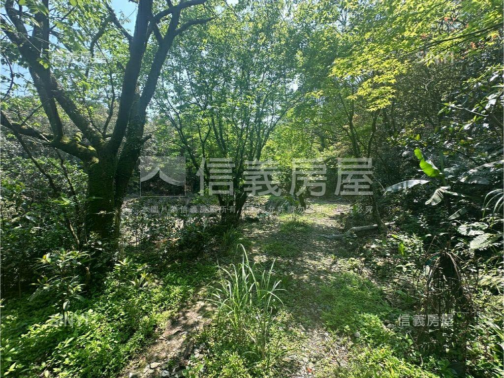 陽明山竹子湖湖田段土地房屋室內格局與周邊環境