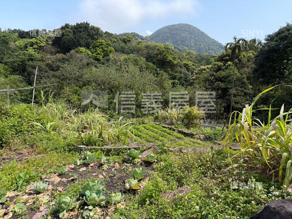陽明山竹子湖湖田段土地房屋室內格局與周邊環境