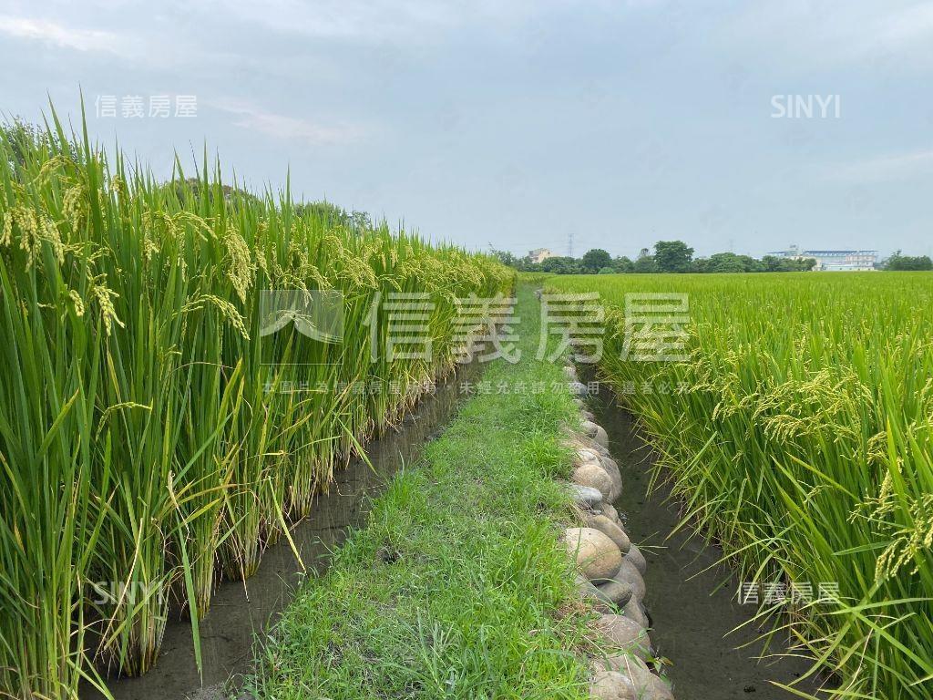 霧峰丁台二段快樂農地房屋室內格局與周邊環境