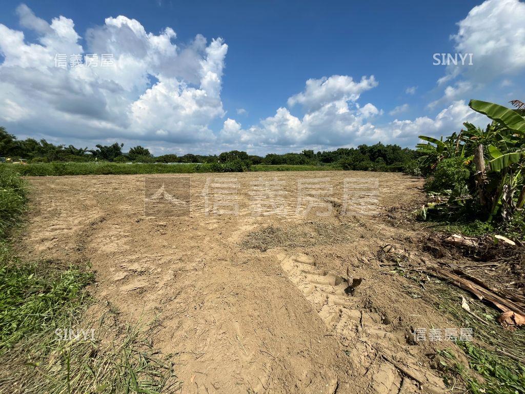 台南大新段有水農地房屋室內格局與周邊環境