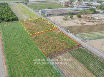 雲林縣崙背鄉土地２