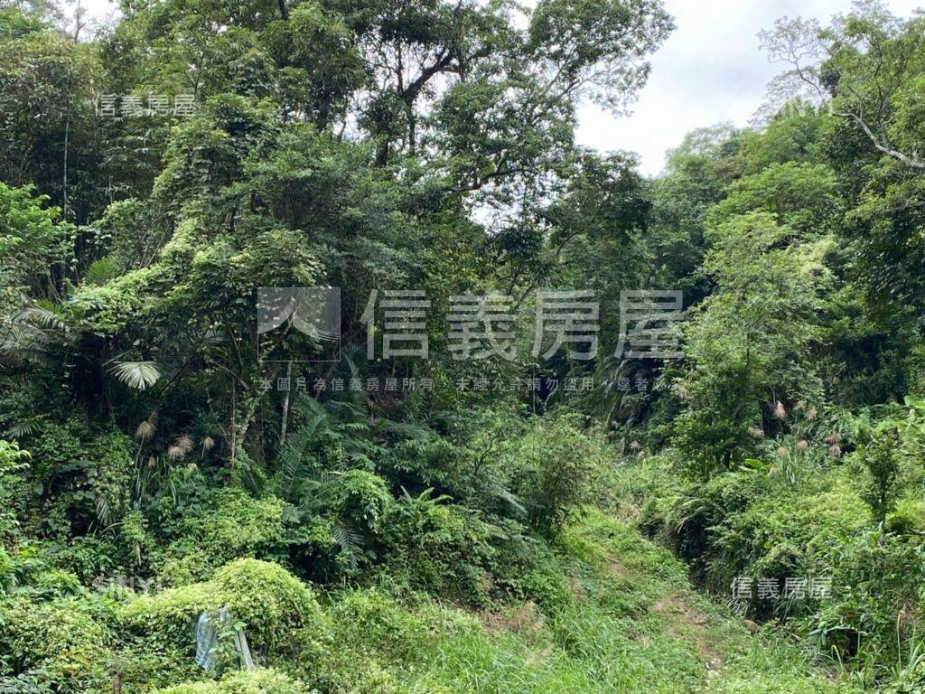 三峽土地好棒棒房屋室內格局與周邊環境