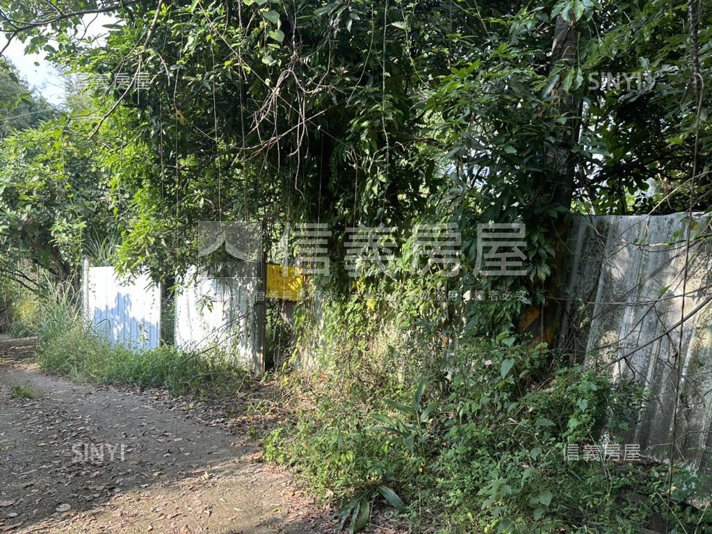 太平優質土地房屋室內格局與周邊環境