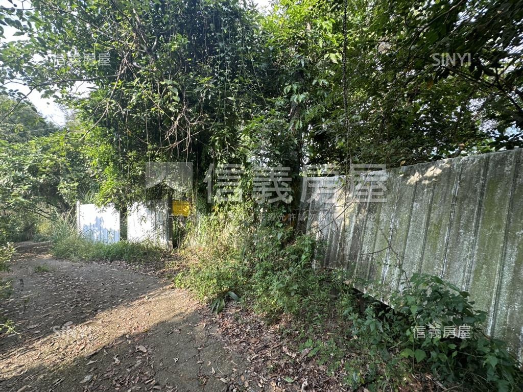 太平優質土地房屋室內格局與周邊環境