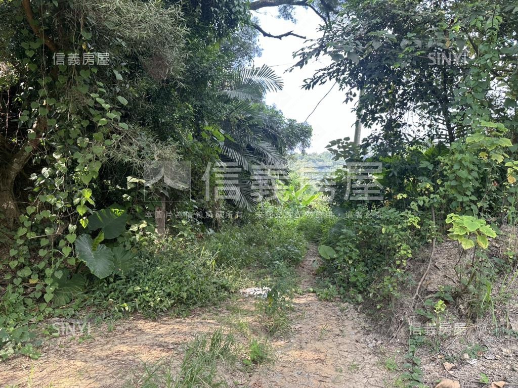 太平優質土地房屋室內格局與周邊環境
