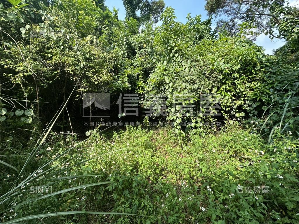 太平優質土地房屋室內格局與周邊環境
