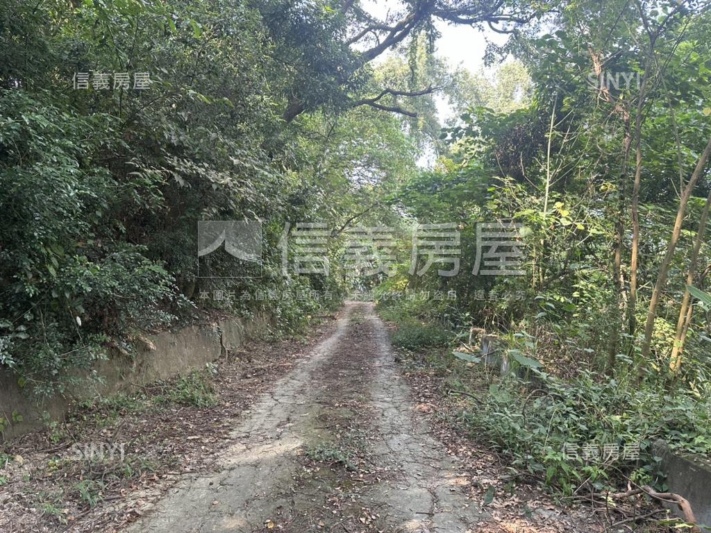 太平優質土地房屋室內格局與周邊環境