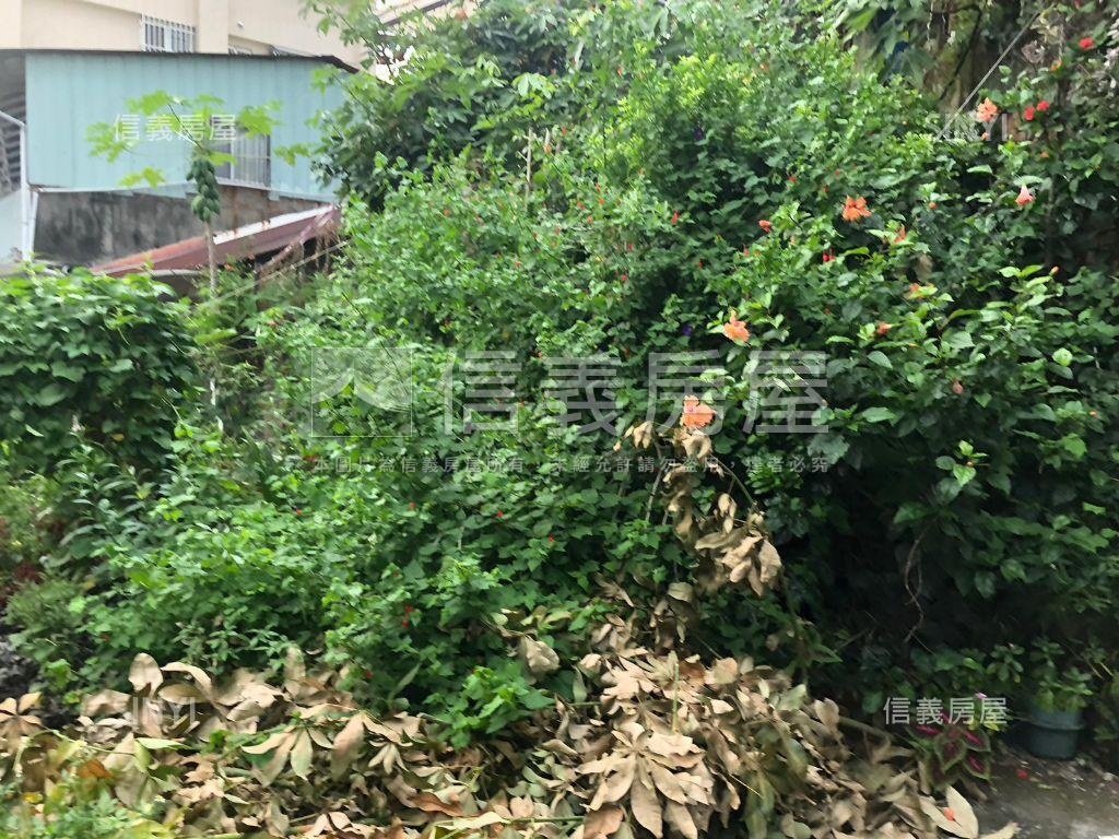 益民路二段旁土地房屋室內格局與周邊環境