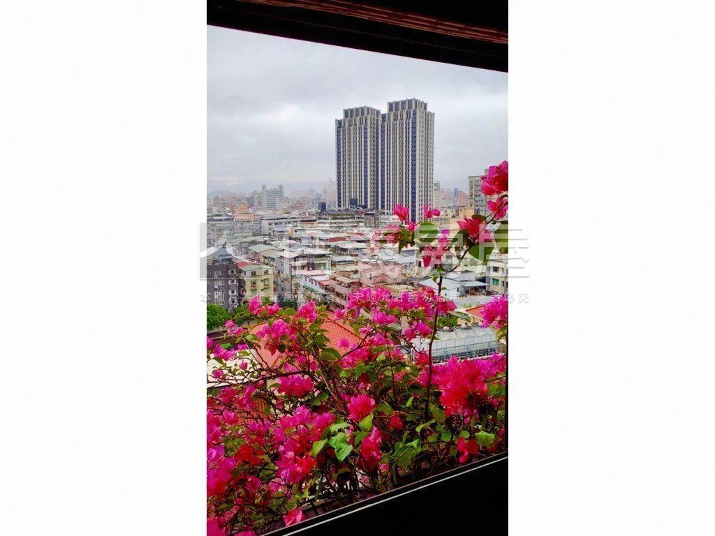 頂溪捷運景觀美宅房屋室內格局與周邊環境