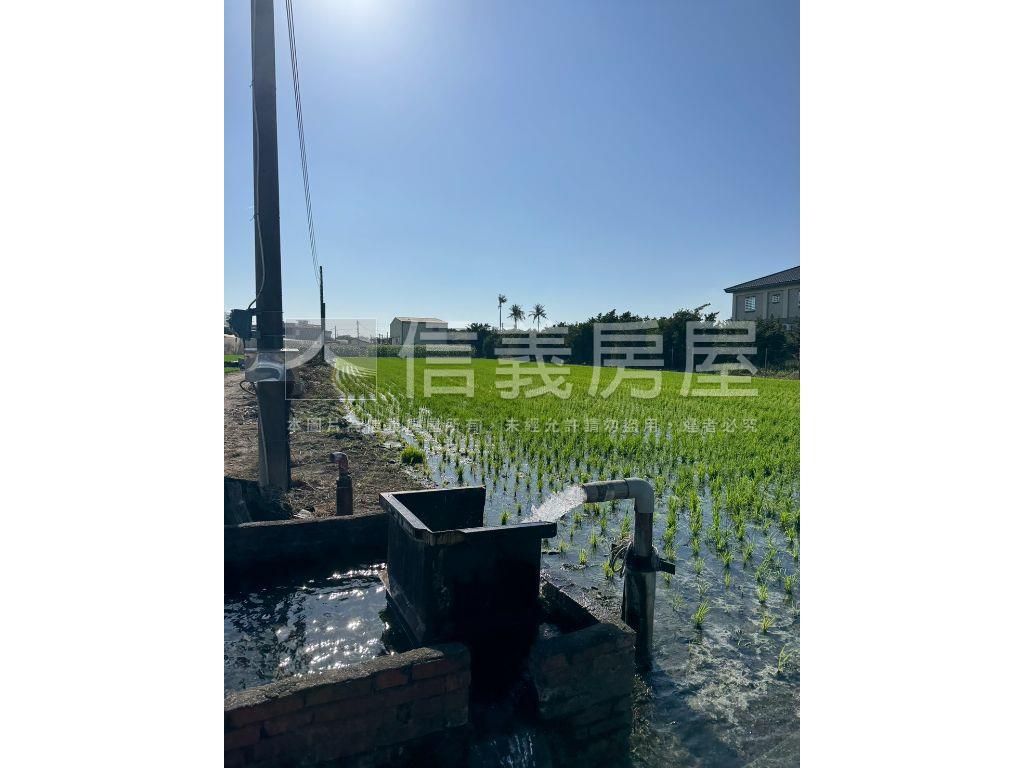 專任屏東農地３０４地號房屋室內格局與周邊環境