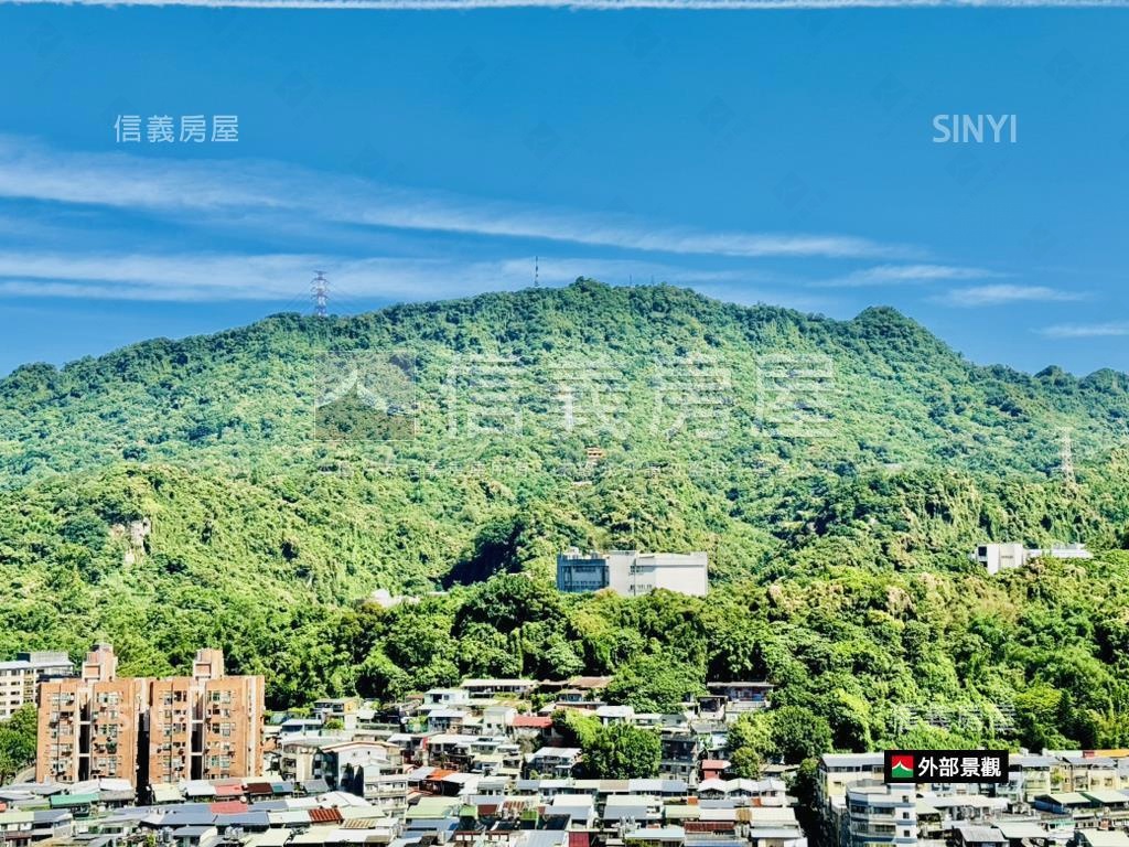 信義★凱廈大戶面山★大景房屋室內格局與周邊環境