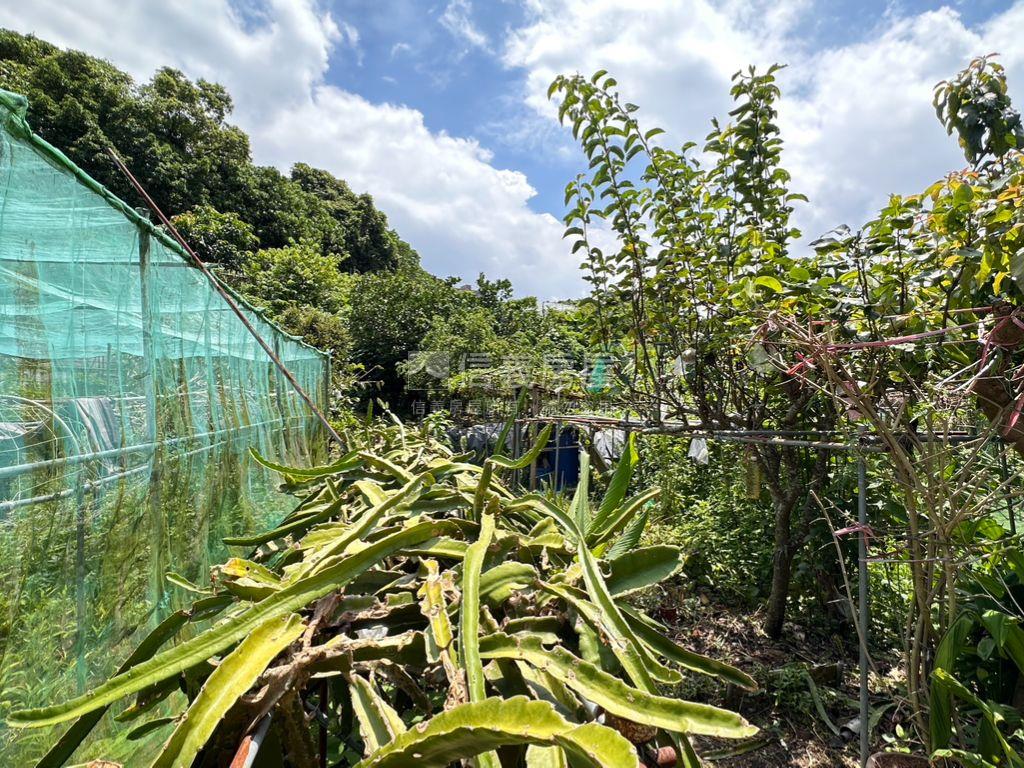 樹梅坑土地２房屋室內格局與周邊環境
