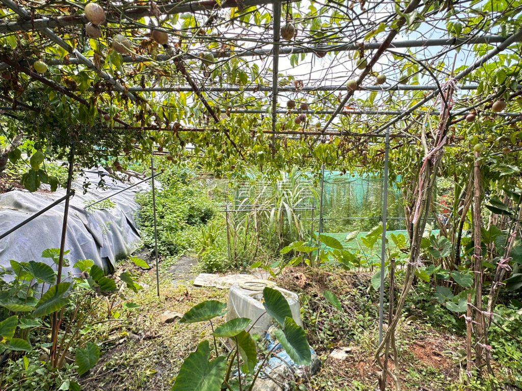 樹梅坑土地２房屋室內格局與周邊環境