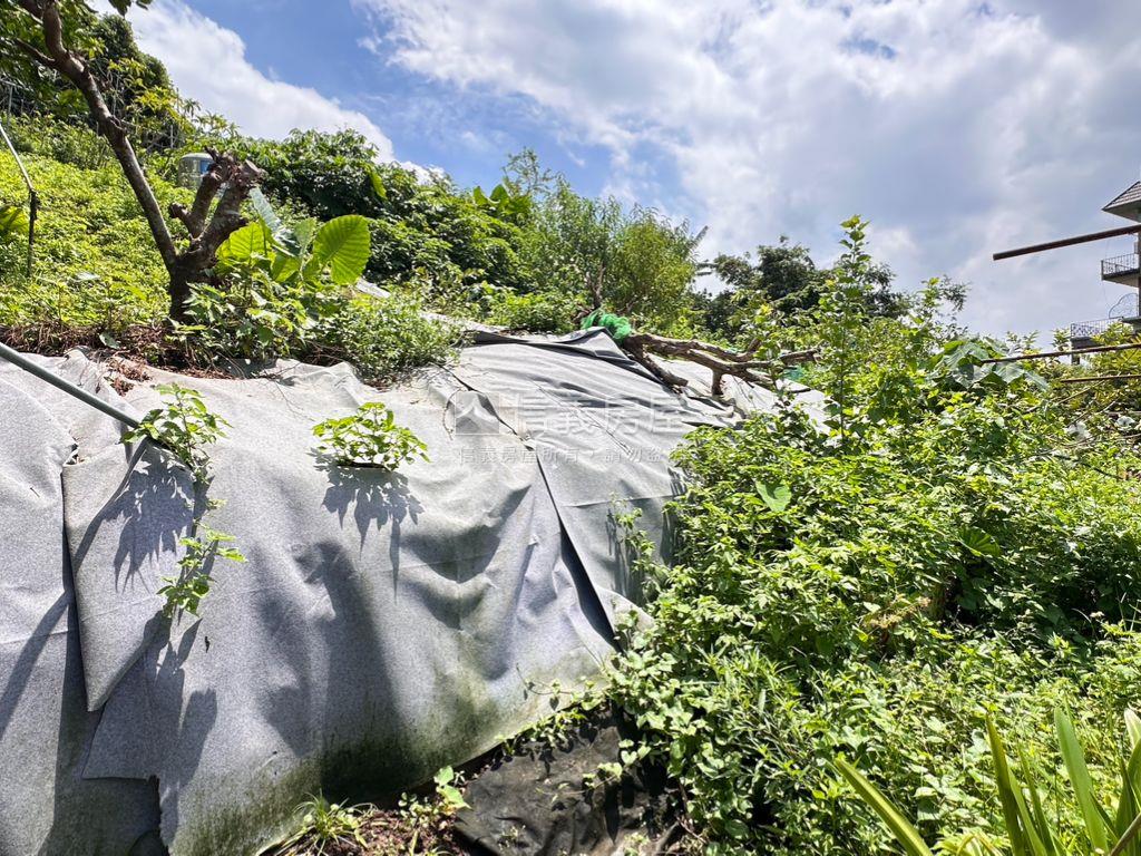 樹梅坑土地２房屋室內格局與周邊環境