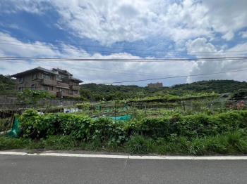 樹梅坑土地２