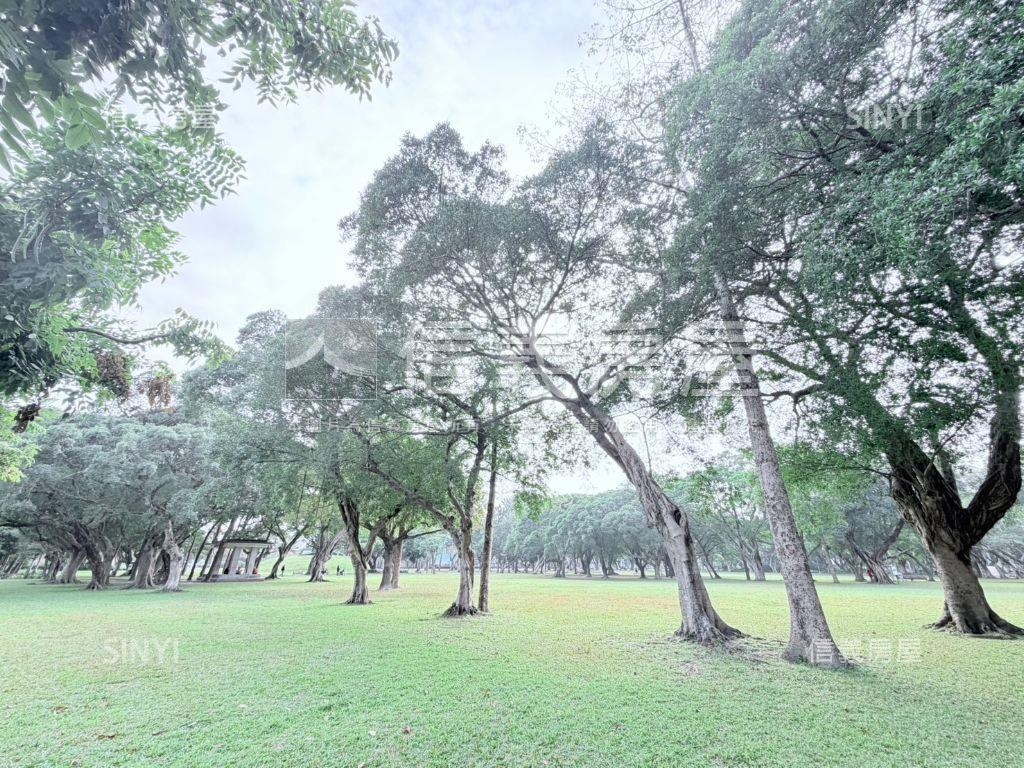 近青年公園國光溫馨美樓房屋室內格局與周邊環境