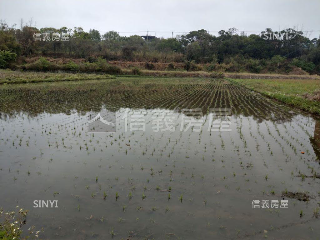 台中都市計畫內農地一房屋室內格局與周邊環境