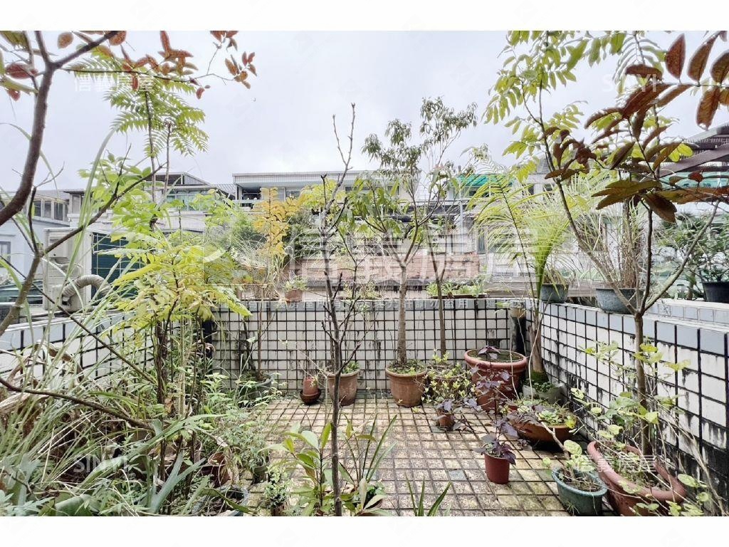 研究苑挑高大廳透天厝房屋室內格局與周邊環境