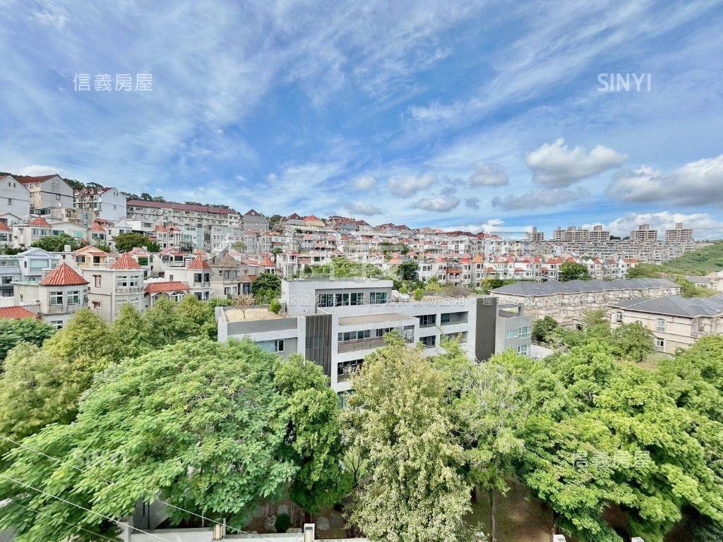 大自然雙子星雙併視野華廈房屋室內格局與周邊環境