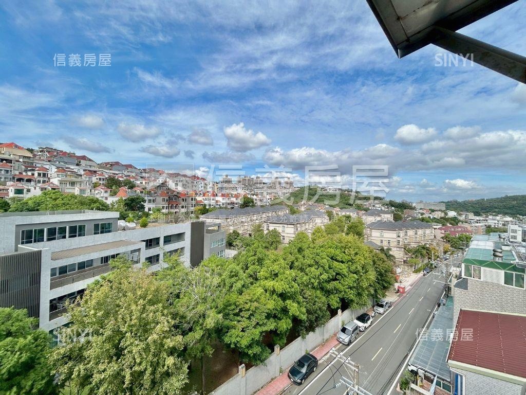 大自然雙子星雙併視野華廈房屋室內格局與周邊環境