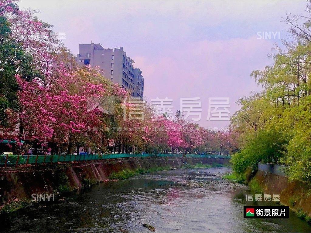 近興大次頂樓套房房屋室內格局與周邊環境