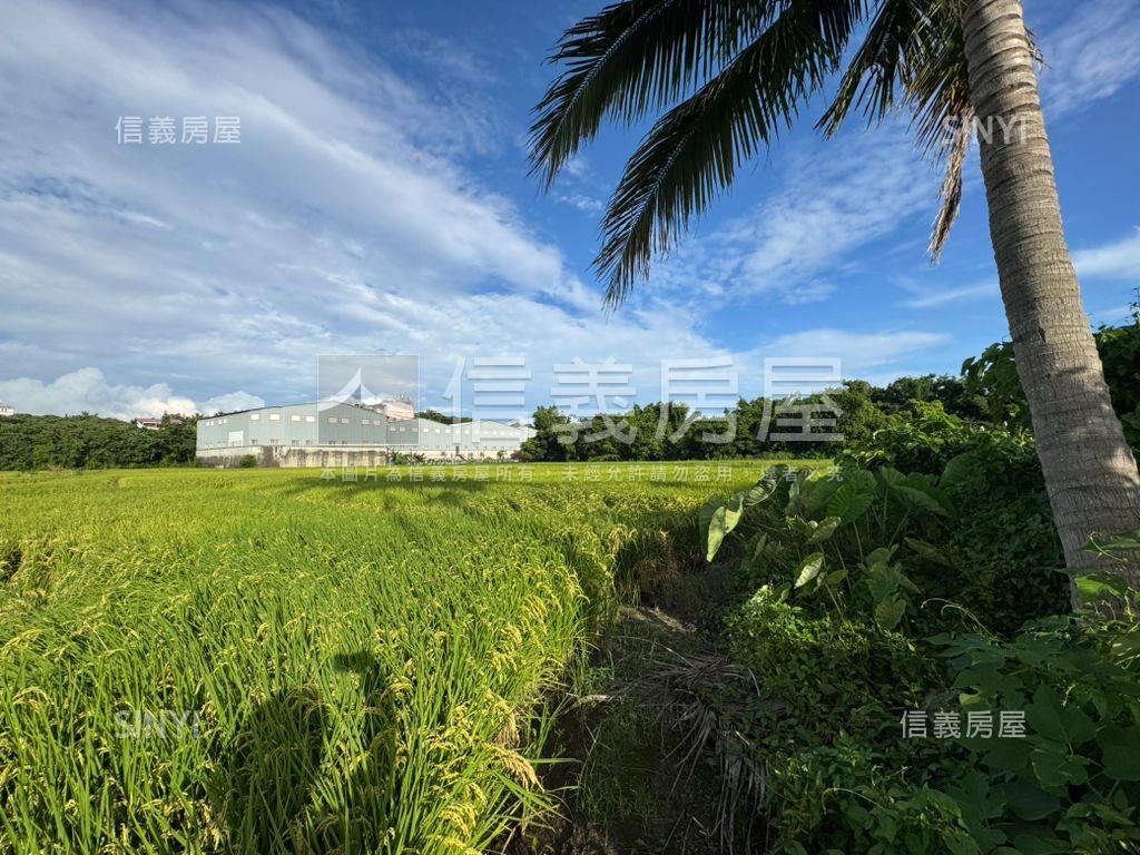 農保優質農地房屋室內格局與周邊環境