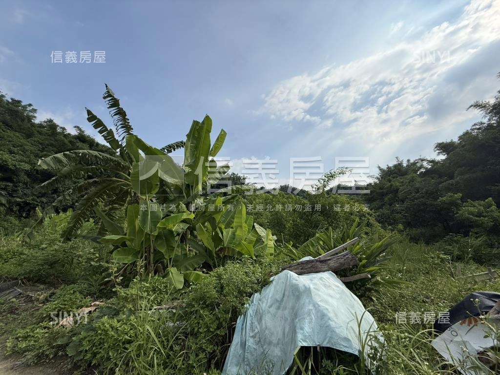 龍崎約３０００坪農地房屋室內格局與周邊環境
