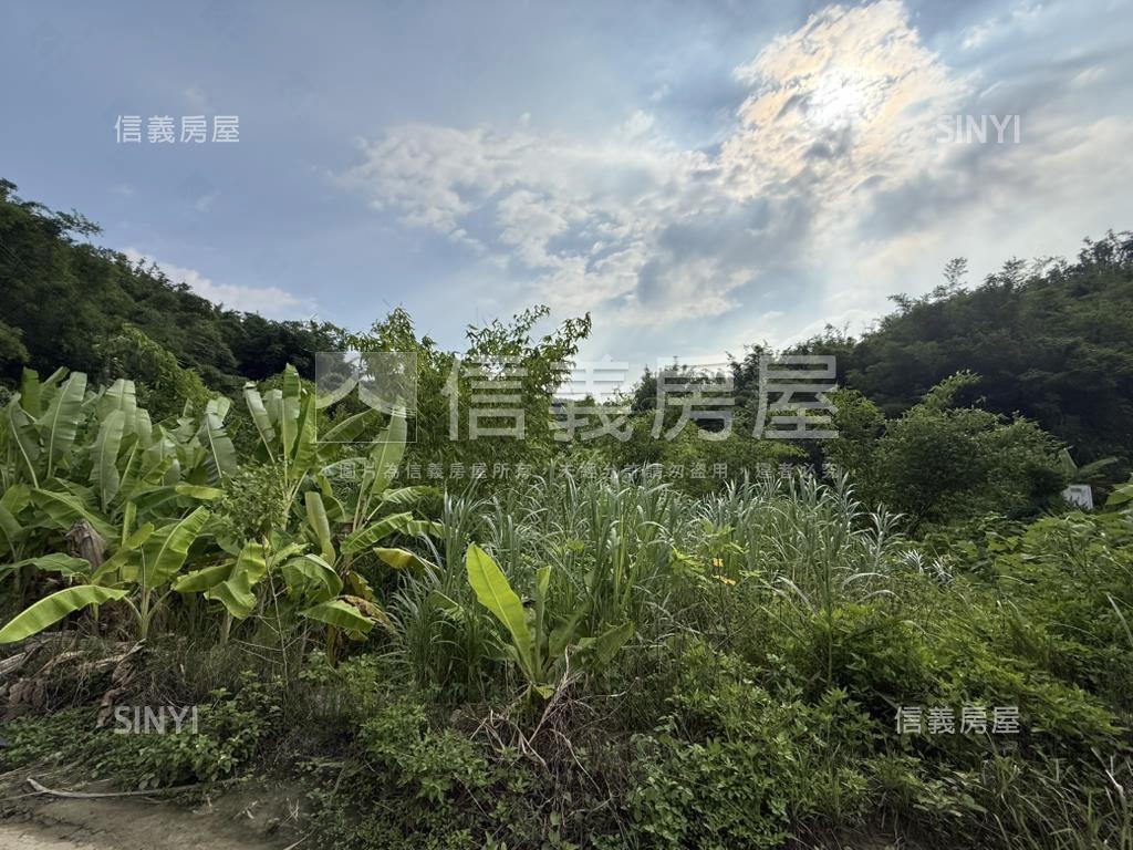 龍崎約３０００坪農地房屋室內格局與周邊環境