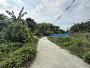 龍崎約３０００坪農地