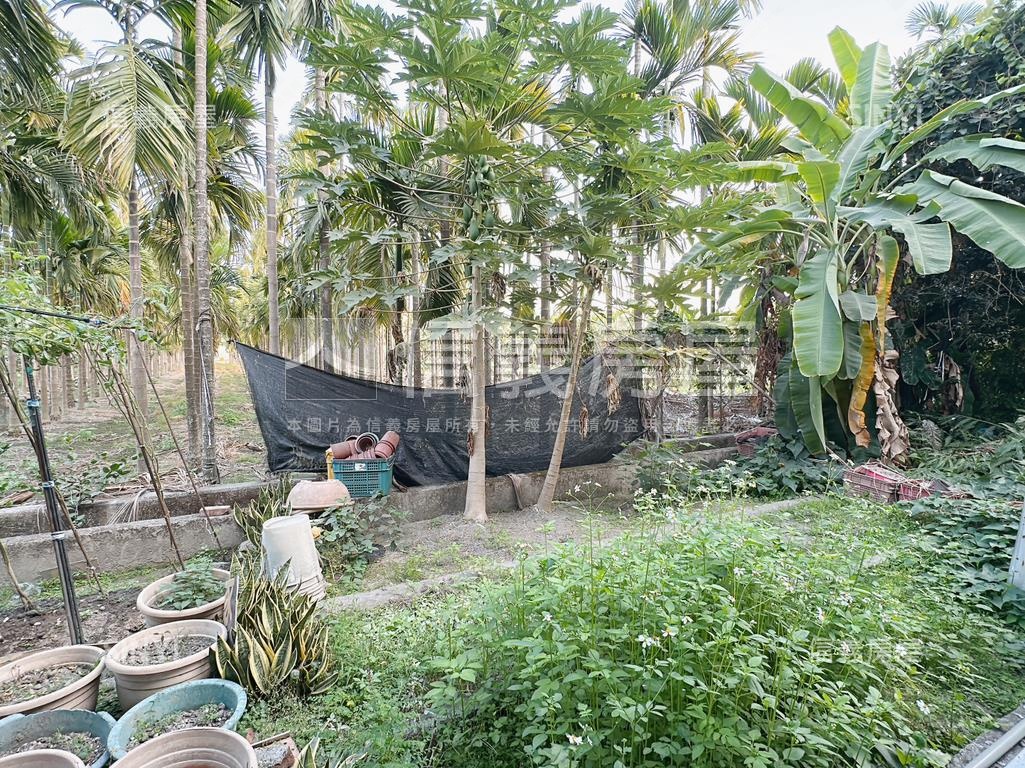 專約九如低總價正街大透天房屋室內格局與周邊環境