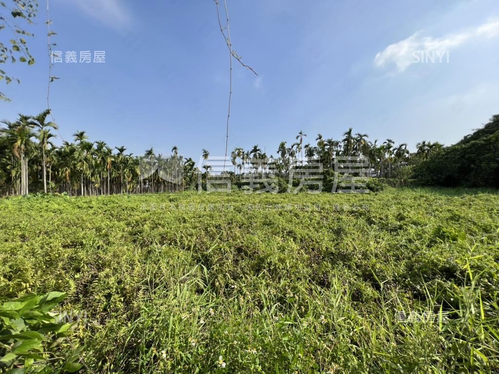 內埔土地房屋室內格局與周邊環境