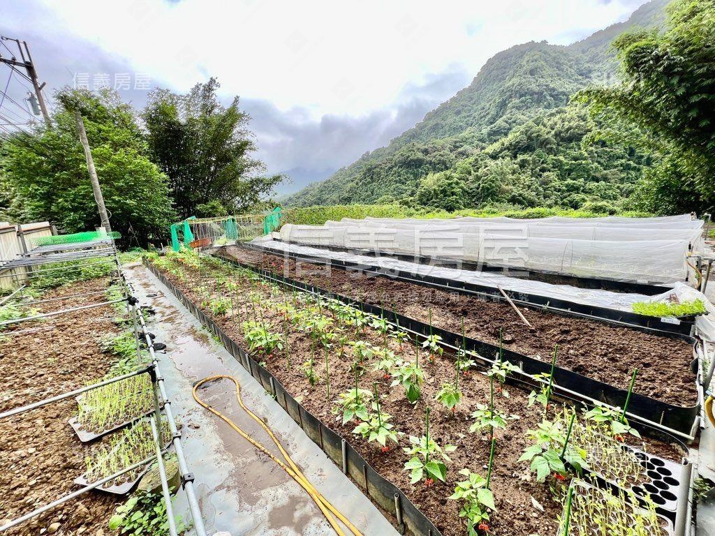 夢想農園★新店鄰路好康地房屋室內格局與周邊環境