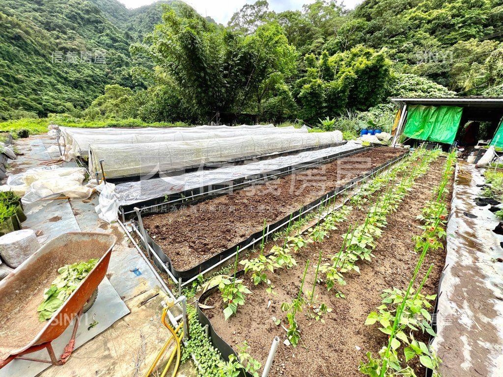 夢想農園★新店鄰路好康地房屋室內格局與周邊環境