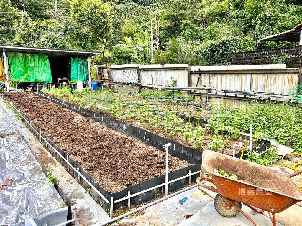 夢想農園★新店鄰路好康地房屋室內格局與周邊環境