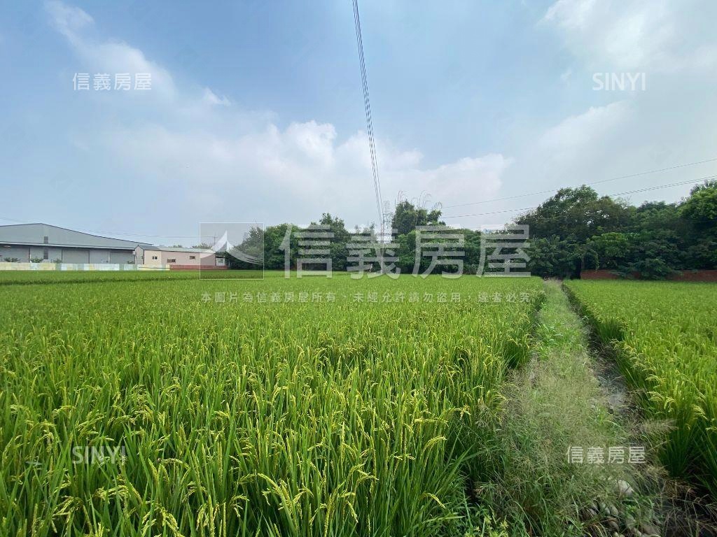 安和路農地Ｃ房屋室內格局與周邊環境