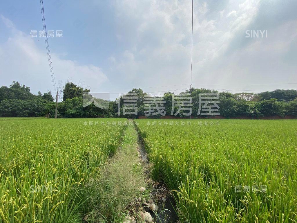 安和路農地Ｃ房屋室內格局與周邊環境