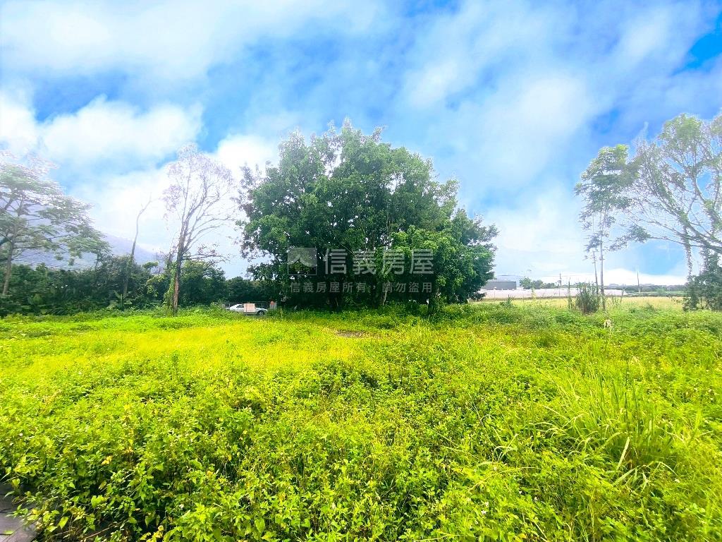 埔里牛尾段農地誠意出售房屋室內格局與周邊環境