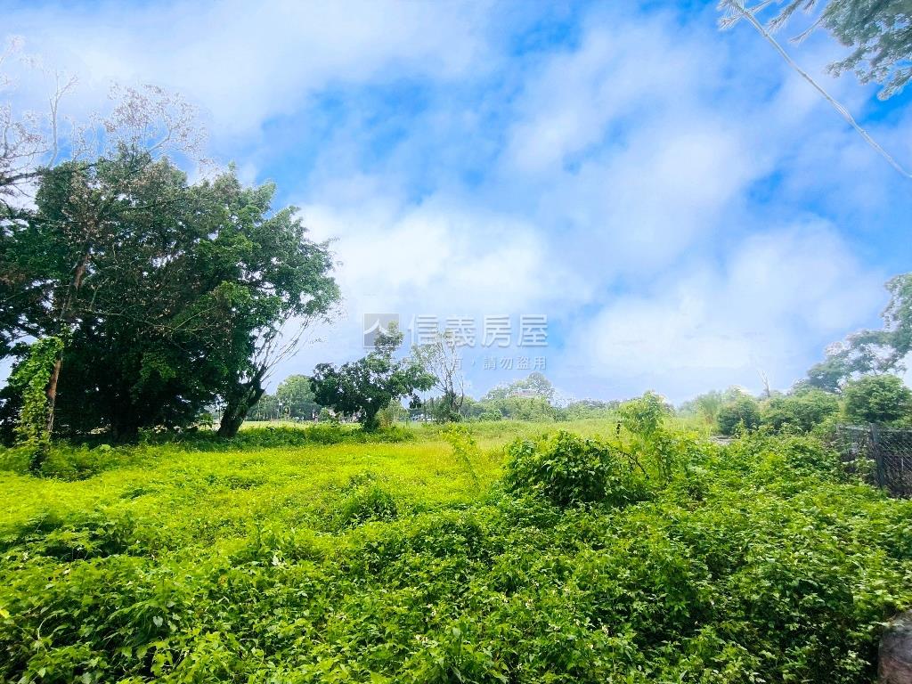 埔里牛尾段農地誠意出售房屋室內格局與周邊環境