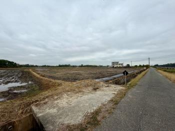 官田都內富甲一方農地