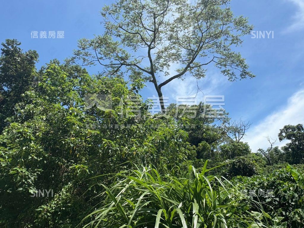 白河低總價農地Ｅ房屋室內格局與周邊環境