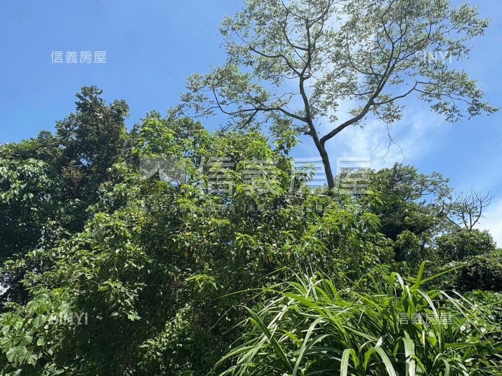 白河低總價農地Ｅ房屋室內格局與周邊環境
